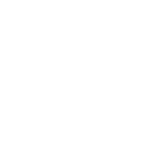 4ren_flow_bnr01